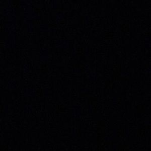 Meet your Posher, Sal